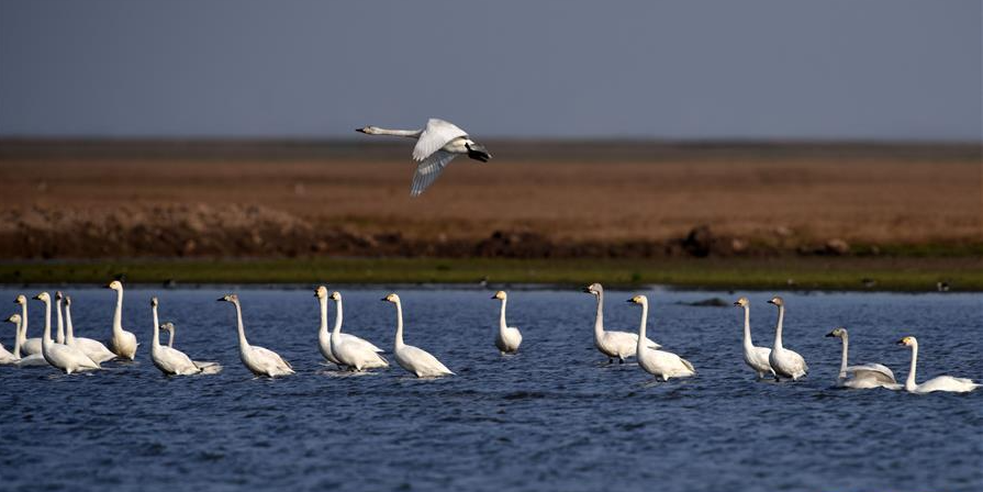 北冰、蔡文?。宏P(guān)于推動(dòng)環(huán)洞庭湖區(qū)旅游業(yè)高質(zhì)量發(fā)展的思考