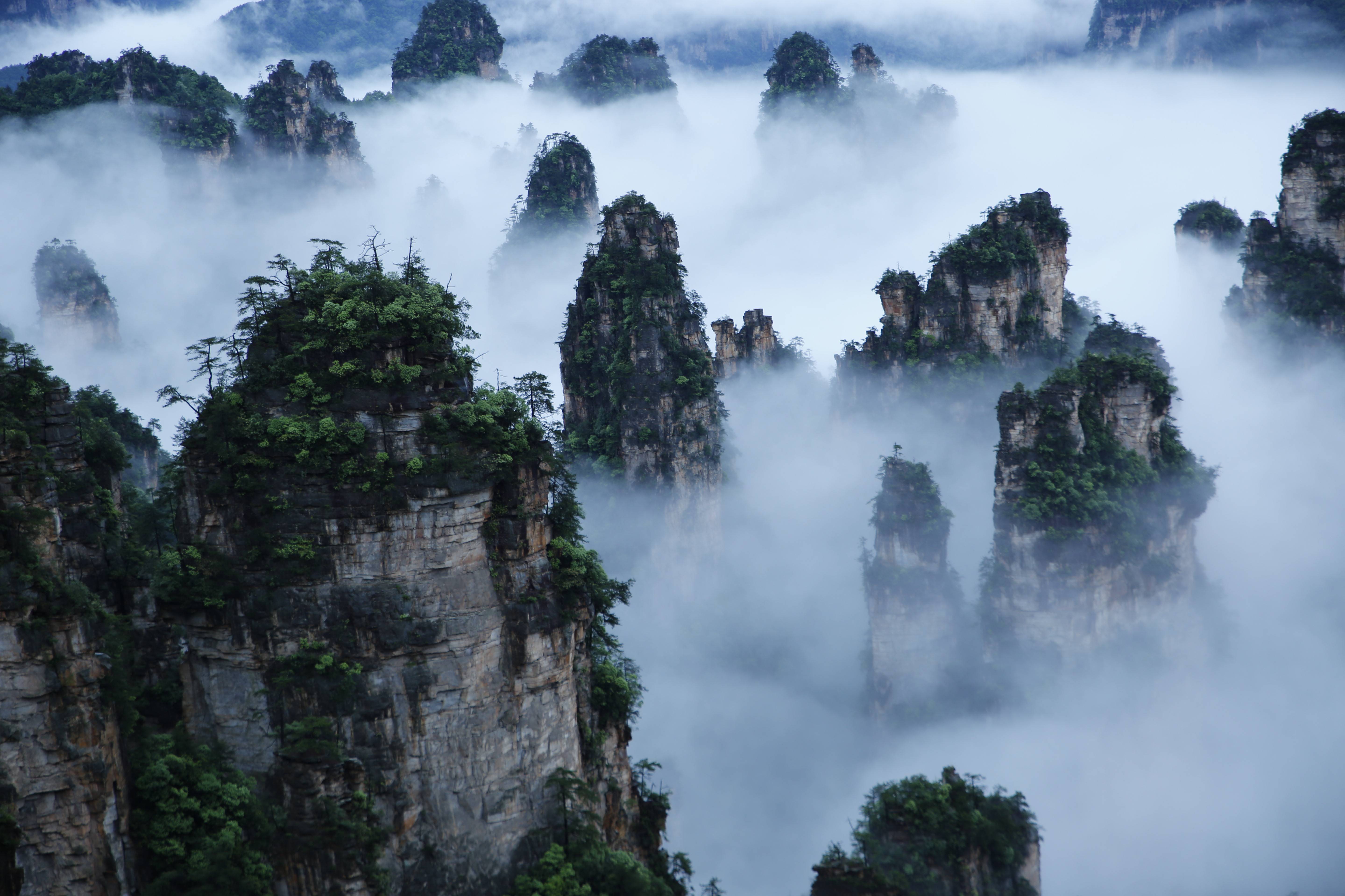 武陵源景區(qū)天子山云海,圖源:湖南日?qǐng)?bào).jpeg 武陵源景區(qū)天子山云海,圖源:湖南日?qǐng)?bào).jpeg